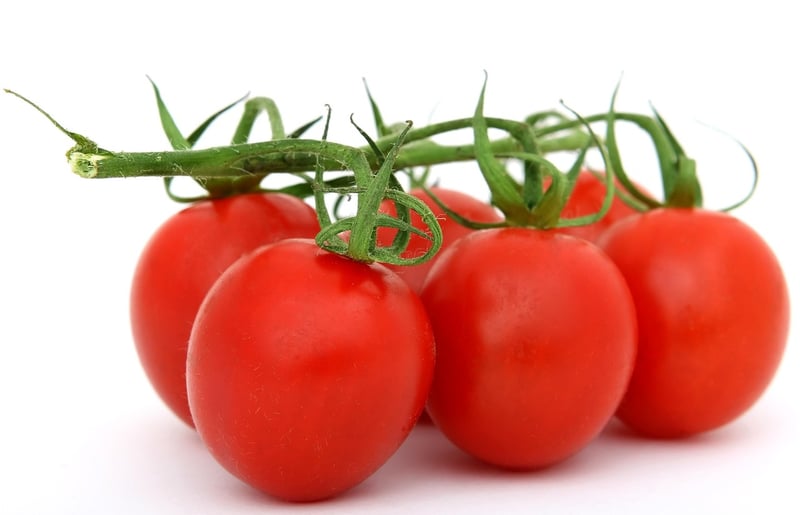 Plant-Based Food